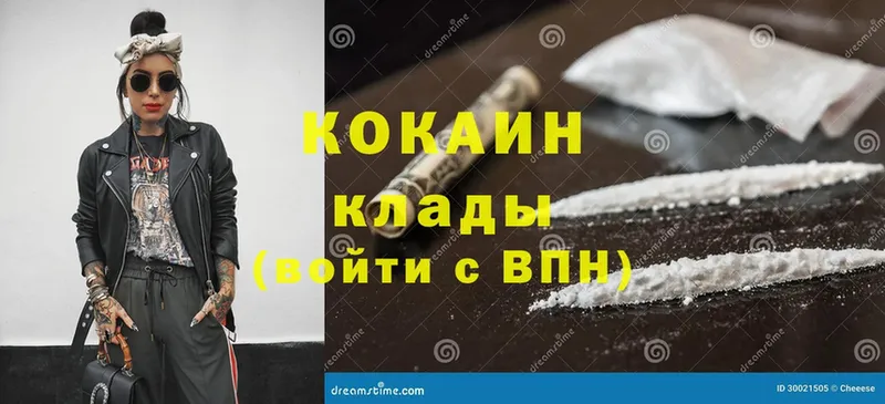 Cocaine FishScale  закладки  Железногорск 