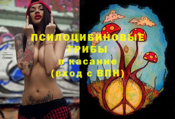 ALPHA PVP Иннополис