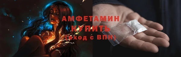 прущие грибы Строитель
