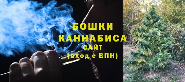 PSILOCYBIN Вяземский