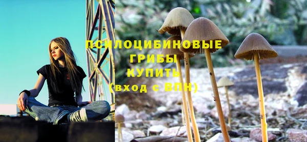 PSILOCYBIN Вяземский