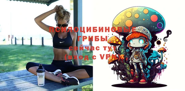ALPHA PVP Иннополис