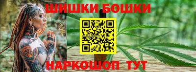 сатива Гай