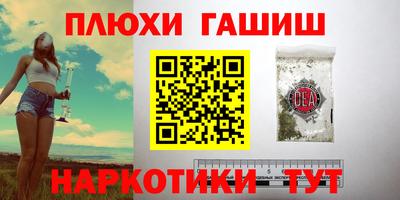 сатива Гай