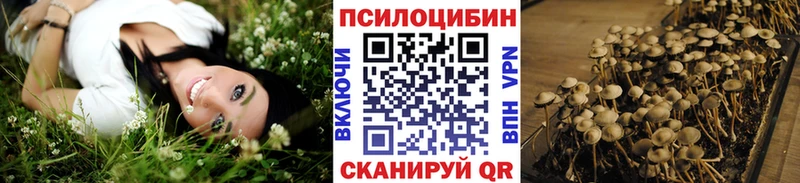 Псилоцибиновые грибы GOLDEN TEACHER Железногорск
