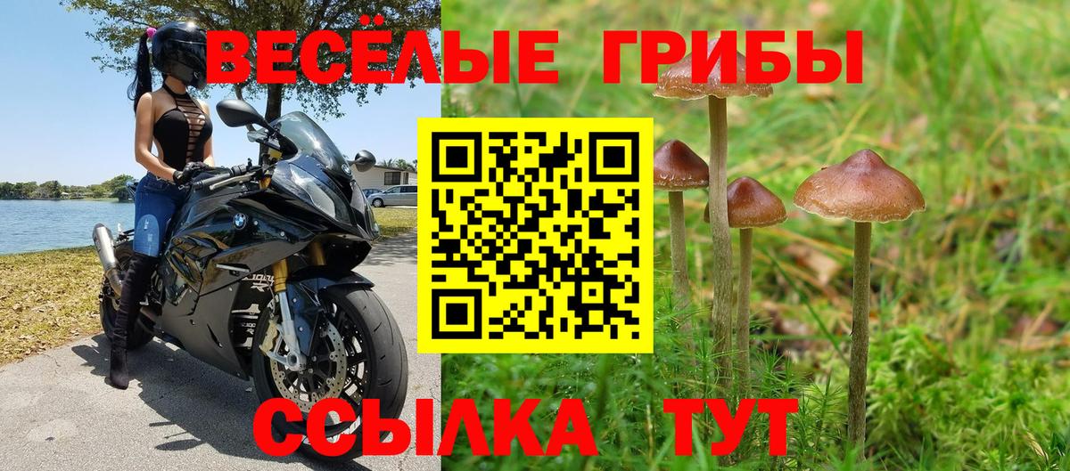 Галлюциногенные грибы мицелий Железногорск
