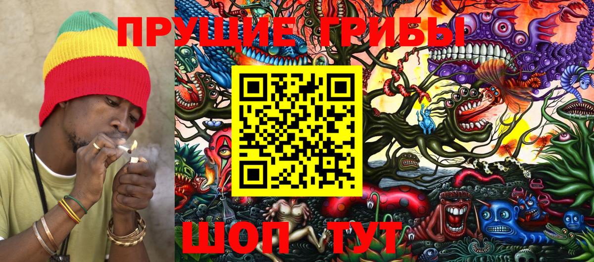 Галлюциногенные грибы GOLDEN TEACHER Железногорск