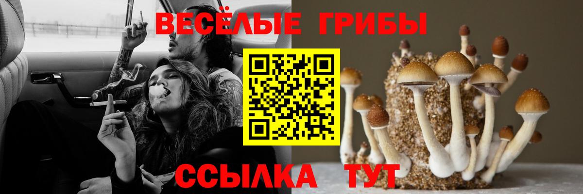 Псилоцибиновые грибы ЛСД  где продают наркотики  Железногорск 